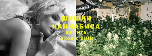 трава Абаза