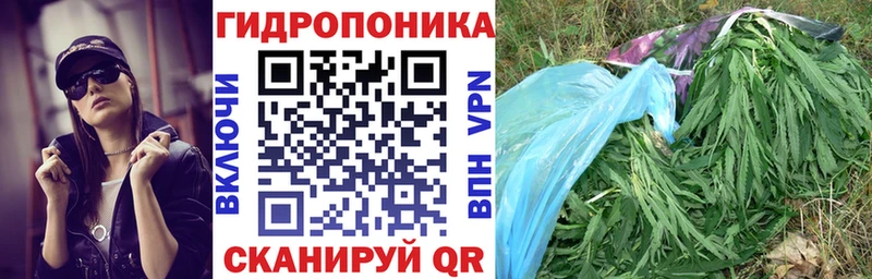 наркотики Азов Шишки марихуана индика
